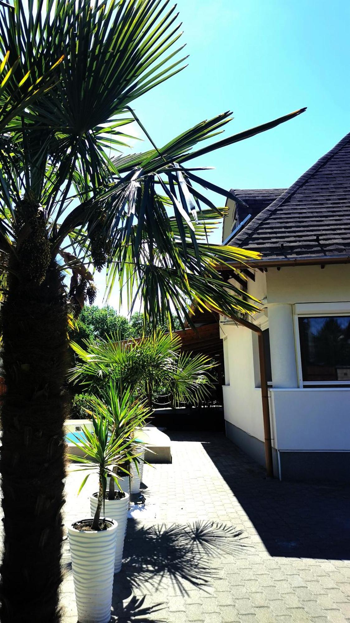 House4U Villa บาลาตอนเซเมช ภายนอก รูปภาพ